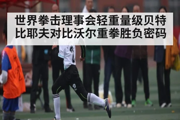 世界拳击理事会轻重量级贝特比耶夫对比沃尔重拳胜负密码